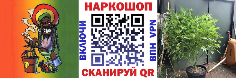 ГАШ Кызыл