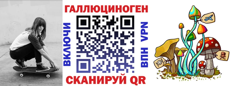 как найти   Кызыл  Псилоцибиновые грибы мухоморы 